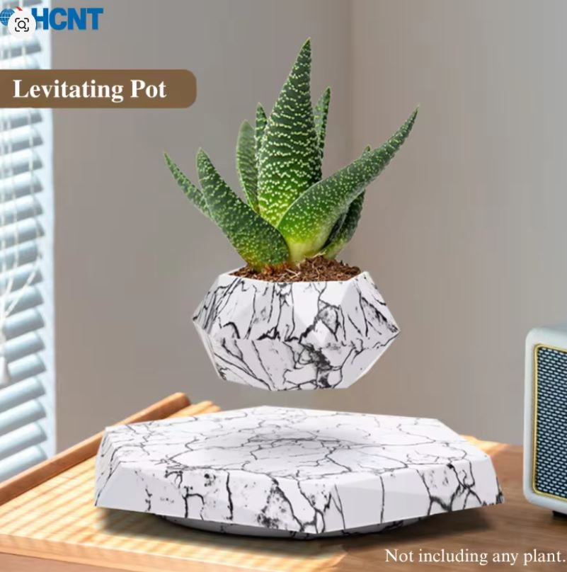 كيف تجذب الأنظار لمكتبك بقطعة تتحدى الجاذبية؟ وعاء النبات العائم هو السر