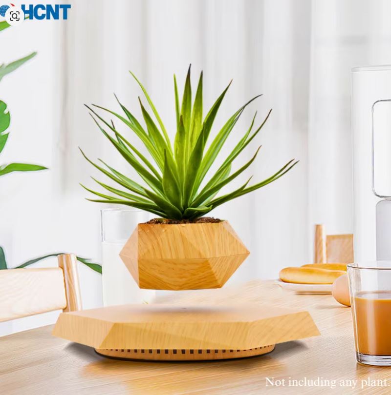 كيف تجذب الأنظار لمكتبك بقطعة تتحدى الجاذبية؟ وعاء النبات العائم هو السر