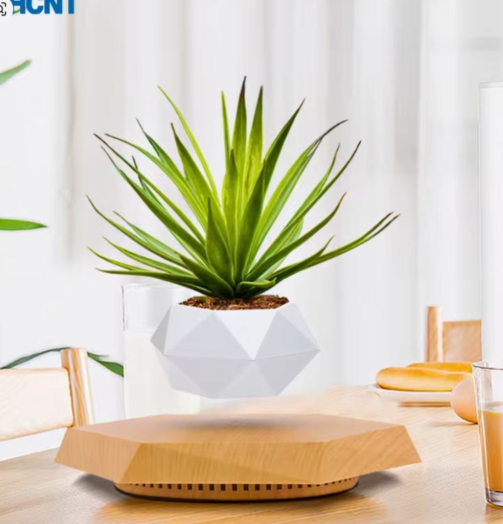 كيف تجذب الأنظار لمكتبك بقطعة تتحدى الجاذبية؟ وعاء النبات العائم هو السر