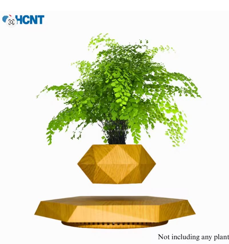 كيف تجذب الأنظار لمكتبك بقطعة تتحدى الجاذبية؟ وعاء النبات العائم هو السر