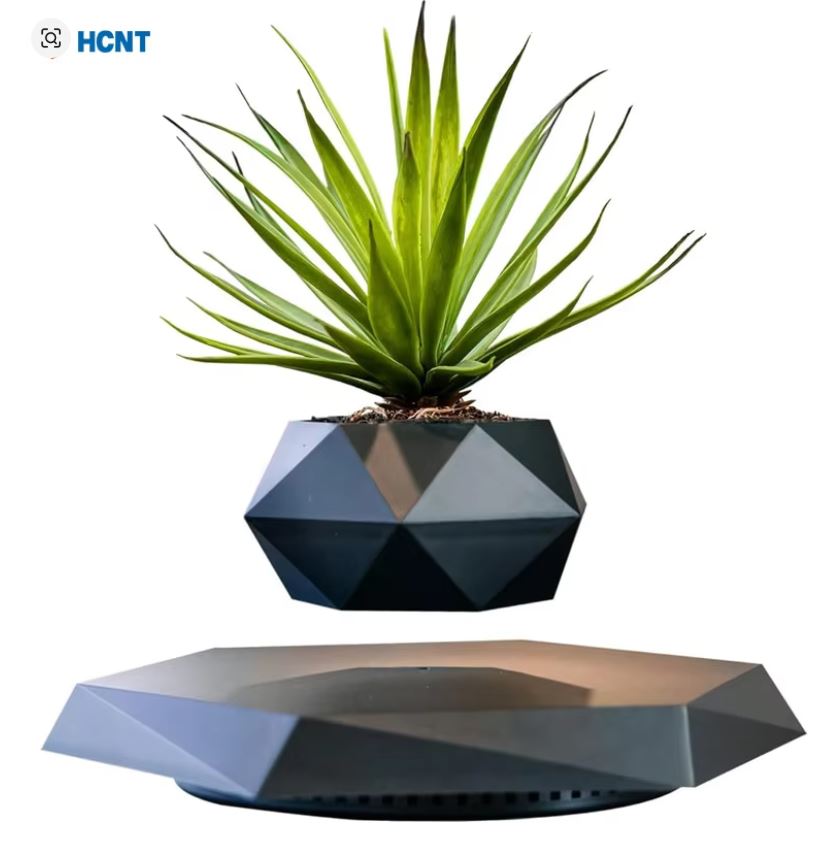 كيف تجذب الأنظار لمكتبك بقطعة تتحدى الجاذبية؟ وعاء النبات العائم هو السر